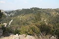 IMG_9936