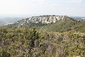 IMG_9945