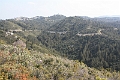 IMG_9949