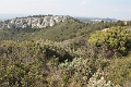 IMG_9955