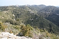 IMG_9958