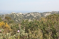 IMG_9969