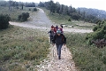 IMG_9973