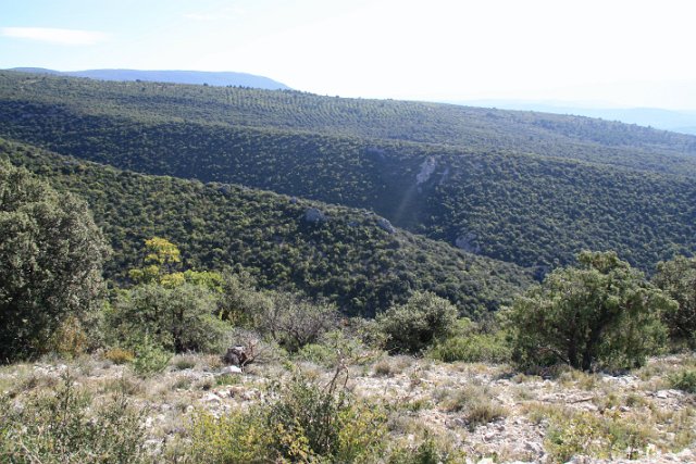 IMG_8714.JPG - LA COMBE DE TRAVIGNON