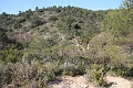 IMG_9240