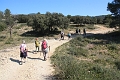 IMG_9258