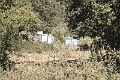 IMG_9261