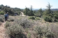 IMG_9271