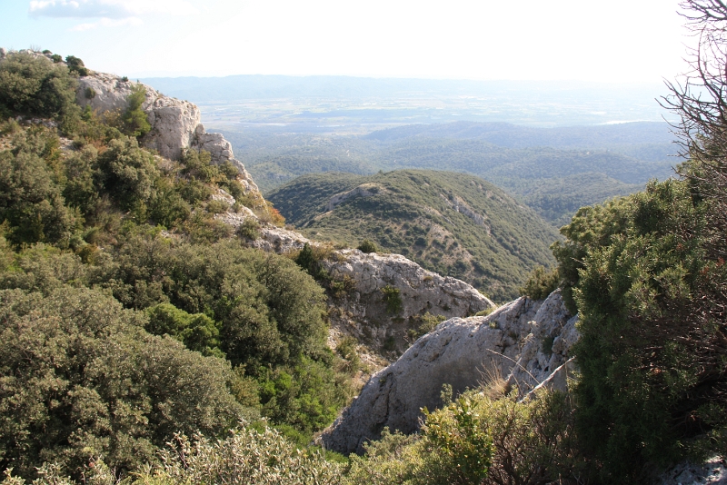 IMG_8054.JPG - DANS UNE  ECHANCRURE DES ROCHERS DE 11H /LA STE VICTOIRE 
