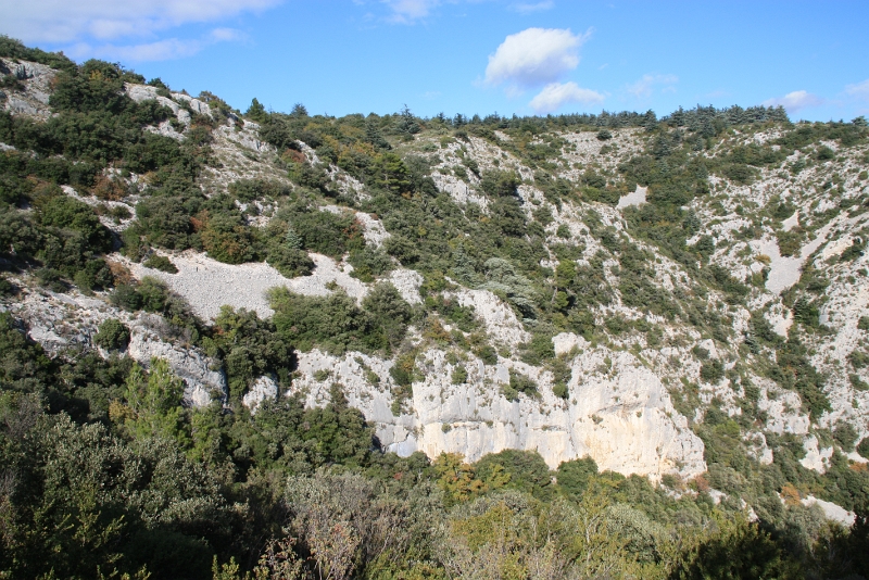 IMG_8056.JPG - VUE SUR LES FALAISES DES ROCHERS DE GUICHON ET DE LA FORET DES CEDRES 