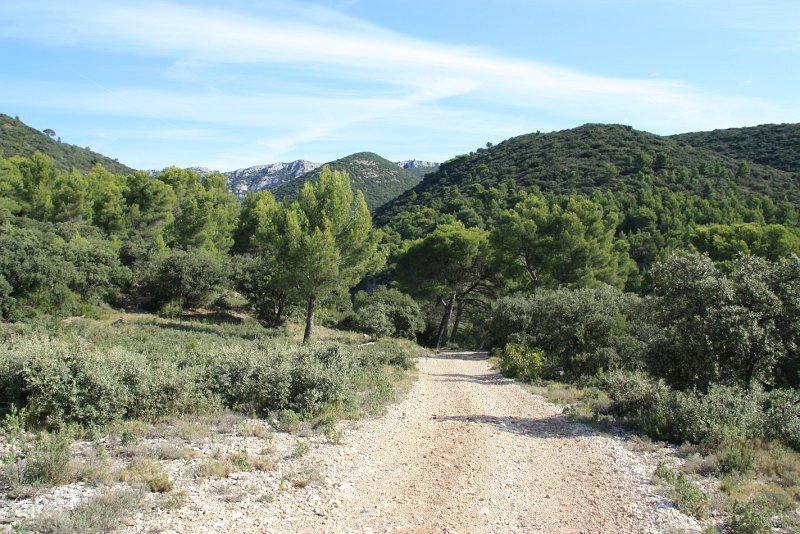 IMG_5565.JPG - CHEMIN TRES AGREABLE 