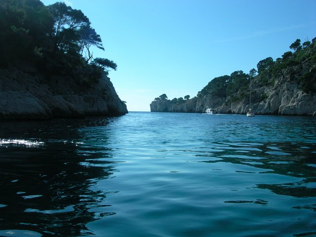 DSCN6528.JPG - PORT PIN