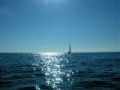 DSCN6508