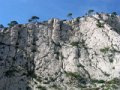 DSCN6516