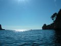 DSCN6537