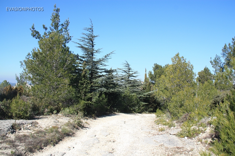 IMG_7116.JPG - NOTRE CHEMIN 