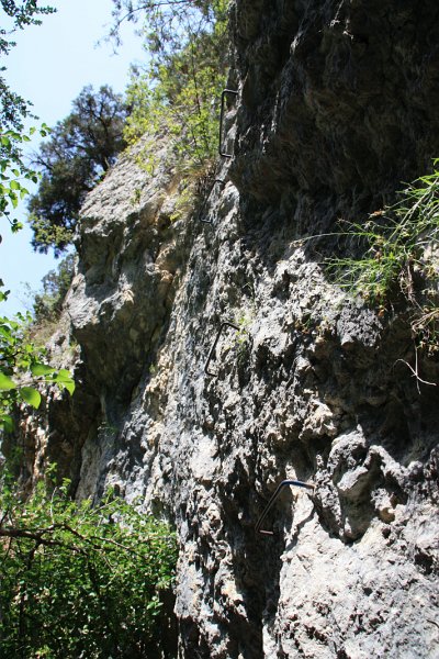 IMG_4143.JPG