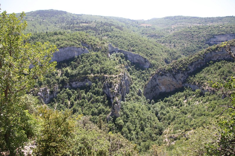 IMG_1495.JPG - LES GORGES DE LA NESQUE VUES DE LA ROUTE 