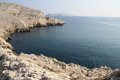IMG_6484