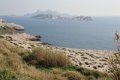 IMG_6533