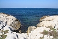 IMG_9517