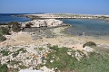 IMG_9590