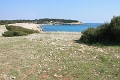 IMG_9846