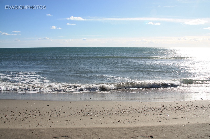 IMG_5459.JPG