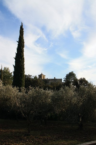 IMG_6061.JPG - .....