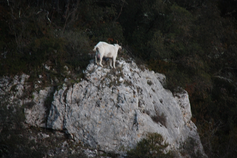 IMG_3758.JPG