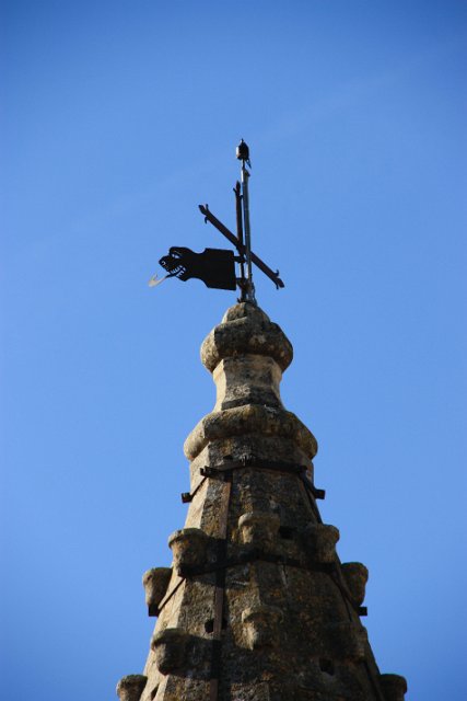 IMG_9638.JPG