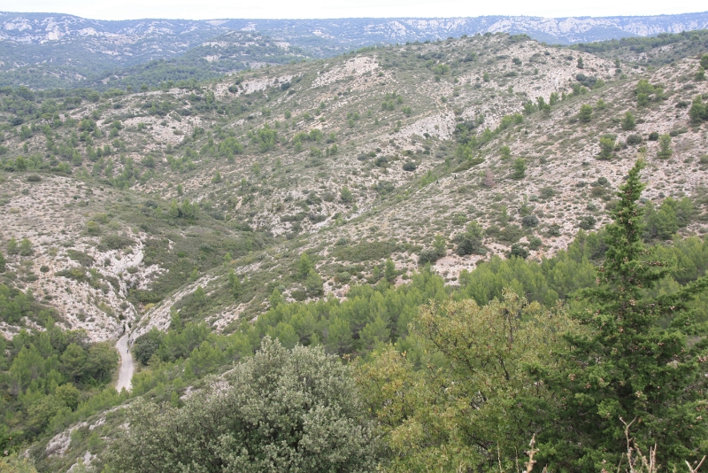 IMG_6960.JPG - VUE SUR LE LUBERON 