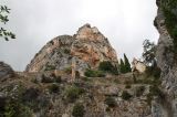 IMG_6791