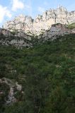 IMG_6870