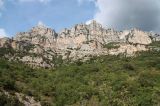 IMG_6885