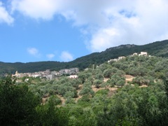 OLMETO