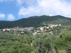 OLMETO