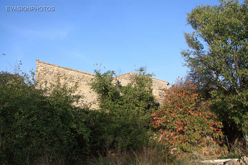 IMG_3818.JPG