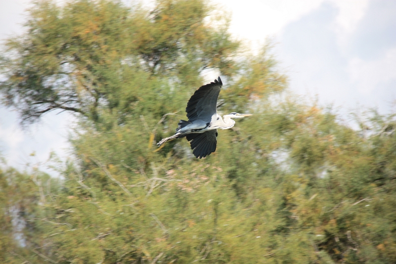 IMG_8644.JPG