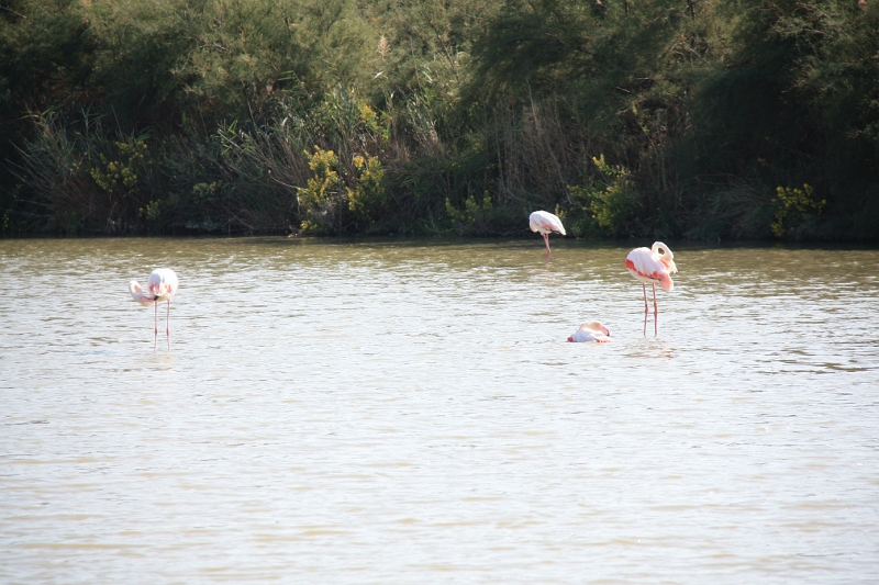IMG_8709.JPG
