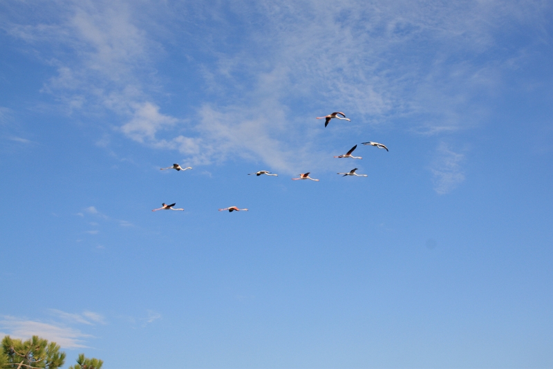 IMG_8951.JPG