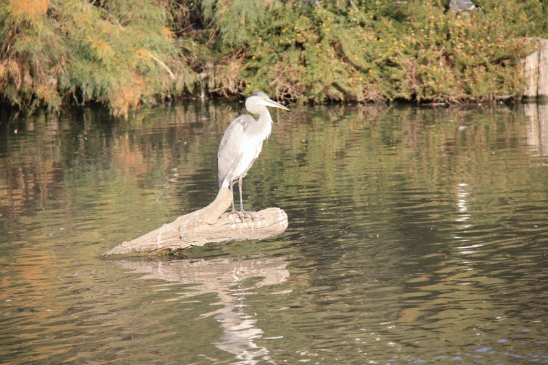 IMG_8963.JPG