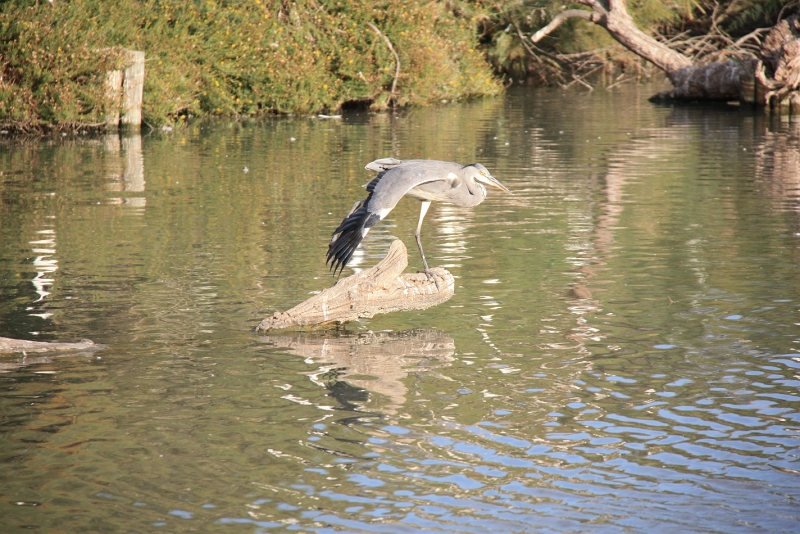 IMG_8981.JPG