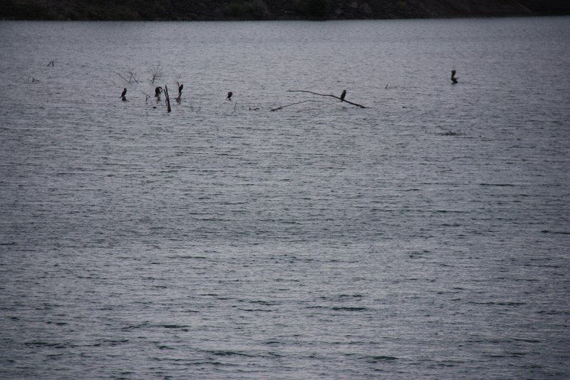 IMG_9063.JPG