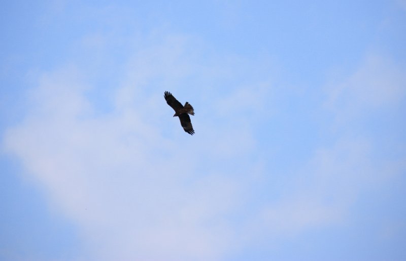 IMG_9073.JPG