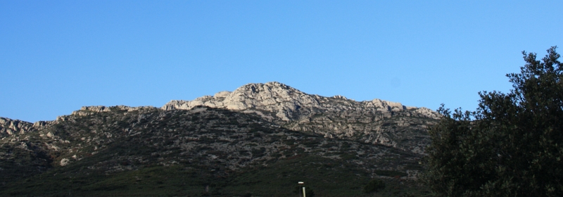 IMG_0740.JPG