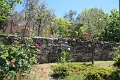 IMG_1201