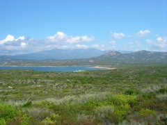 BAIE DE FIGARI