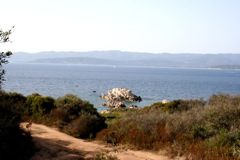 PORTIGLIOLO