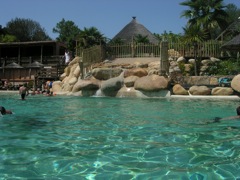 PORTIGLIOLO